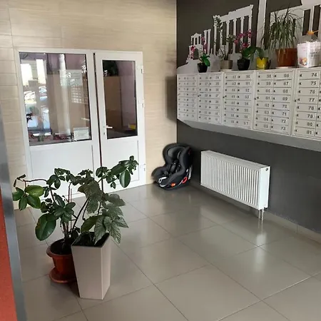 Apartment жк олимпийский городок